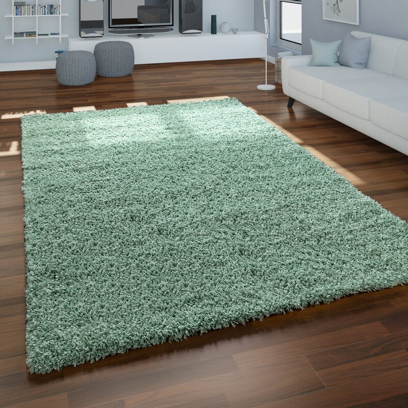 Ebern Designs Alafia Shag Mint Green Area Rug & Reviews | Wayfair.ca